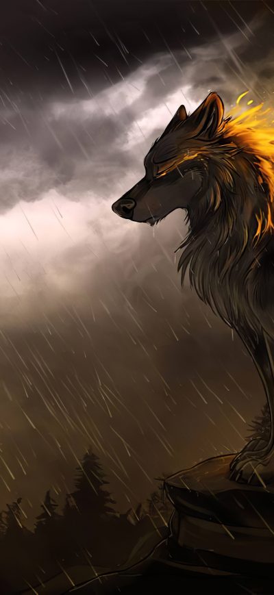 Fond d'écran iPhone Wolf In Soothing Rain 4k