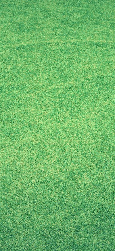 Fond d'écran iPhone Grass Abstract Background 4k