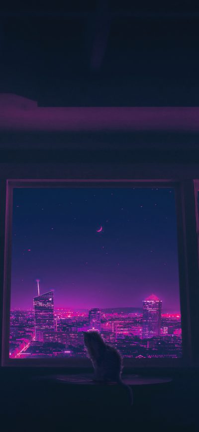 Fond d'écran iPhone Cat Outside Synthwave City