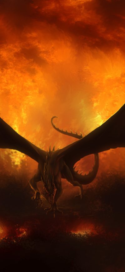 Fond d'écran iPhone Dragon In Flames