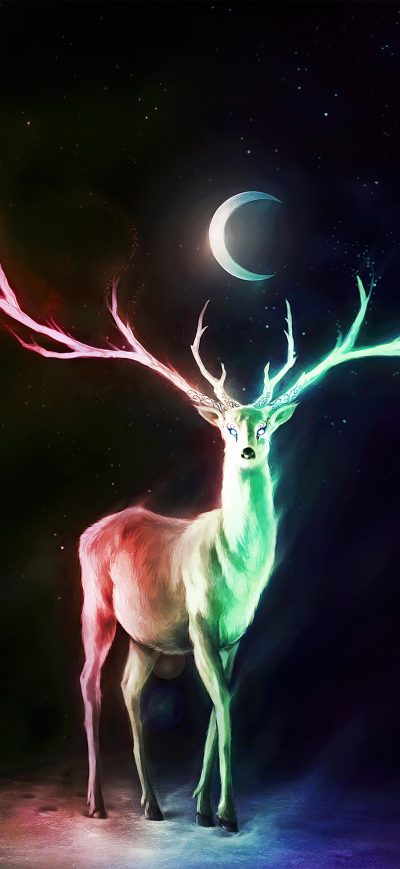 Fond d'écran iPhone Deer Moon