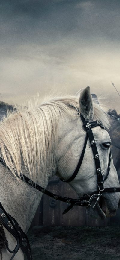 Fond d'écran The Last Kingdom 4k sur iPhone