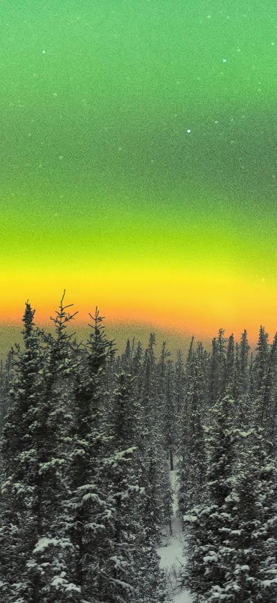 Fond d'écran iPhone Rare Orange Aurora Above A Snowy Forest 5k