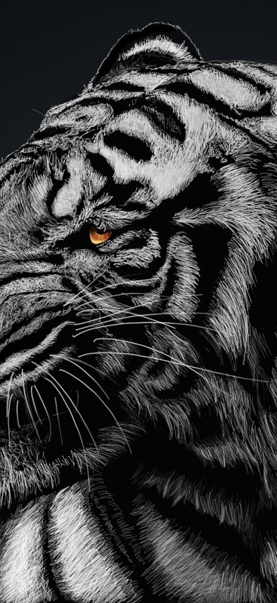 Fond d'écran iPhone Tiger Glow