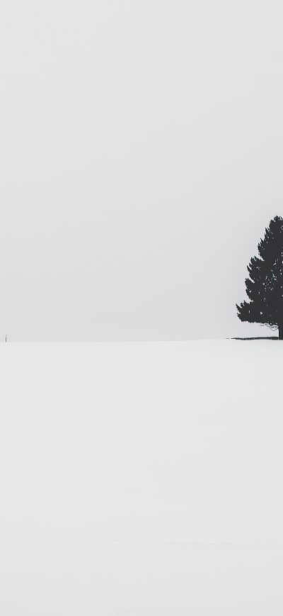 Fond d'écran iPhone Tree Snow 4k