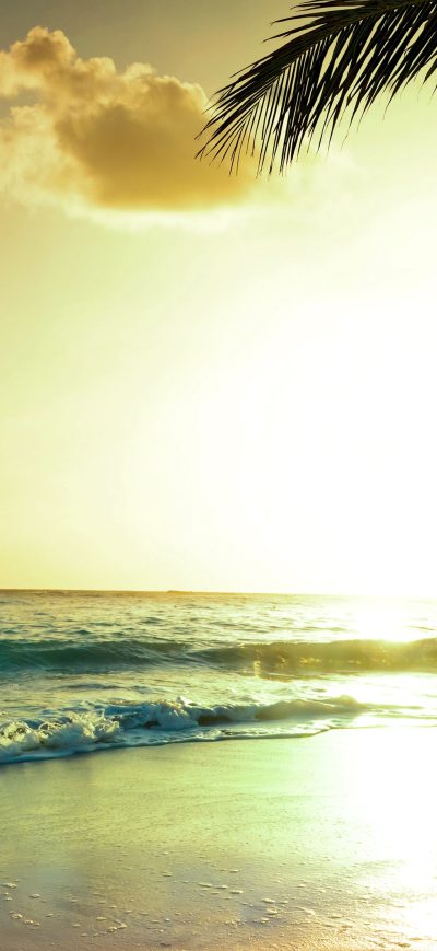 Fond d'écran iPhone Tropical Beach Sunset 4k