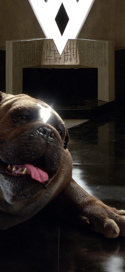 Fond d'écran iPhone Lockjaw Inhumans Tv Series