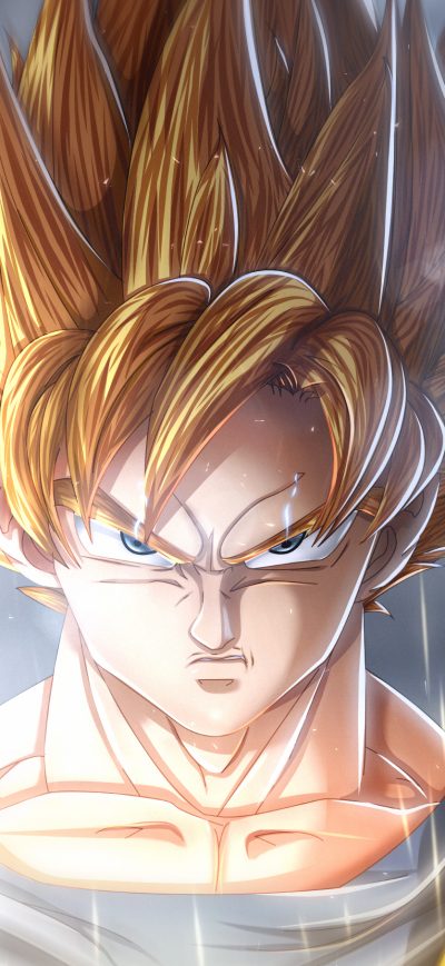 Fond d'écran iPhone Goku Dragon Ball Super Anime Manga