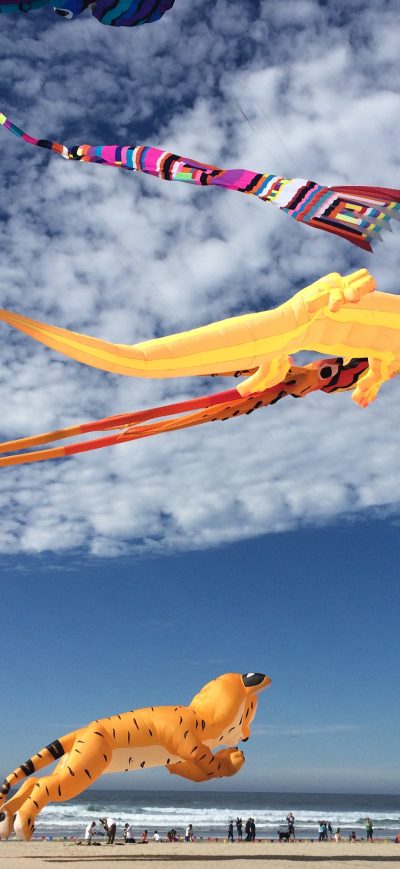 Fond d'écran iPhone Kites