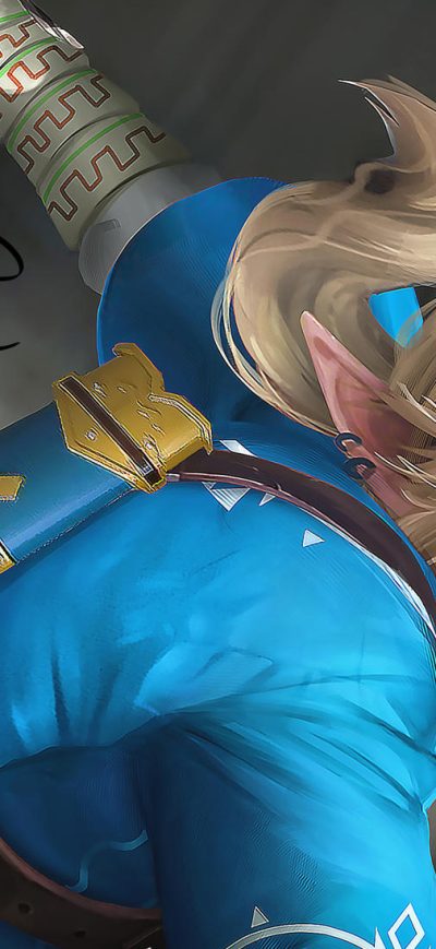 Fond d'écran iPhone Legend Of Zelda Breath Of Wild