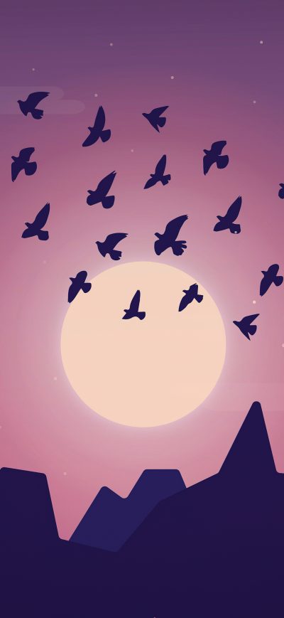 Fond d'écran iPhone Birds Sky Minimal 5k