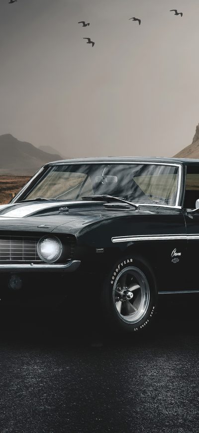 Fond d'écran iPhone Shelby Camaro 1964 4k