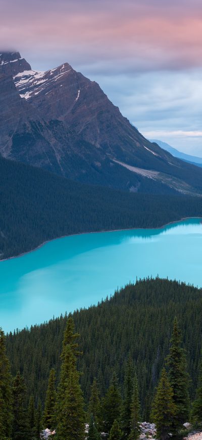 Fond d'écran iPhone Peyto Lake Canada Mountains 4k