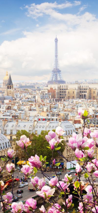 Fond d'écran iPhone Eiffel Tower France Flowers Beautiful 4k
