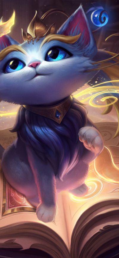 Fond d'écran League Of Legends Cat sur iPhone