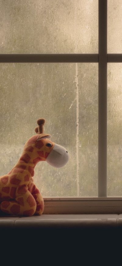 Fond d'écran iPhone Window Ziraffe 4k