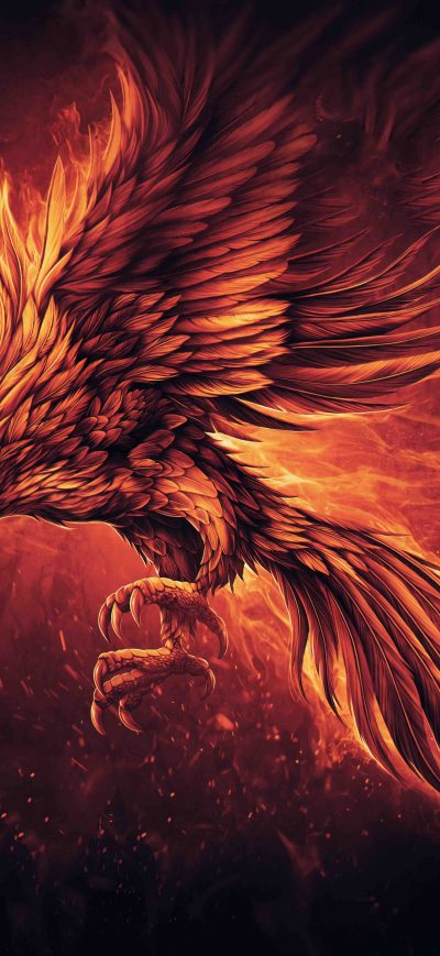 Fond d'écran The Struts Fire sur iPhone