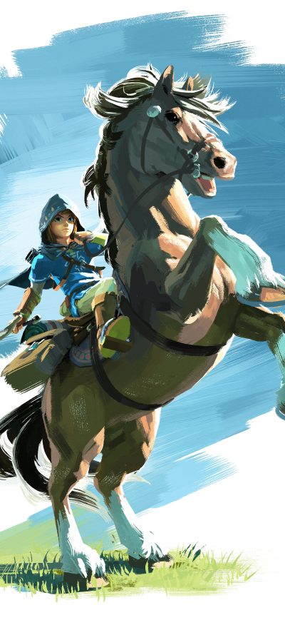 Fond d'écran iPhone The Legend Of Zelda Breath Of The Wild 8k