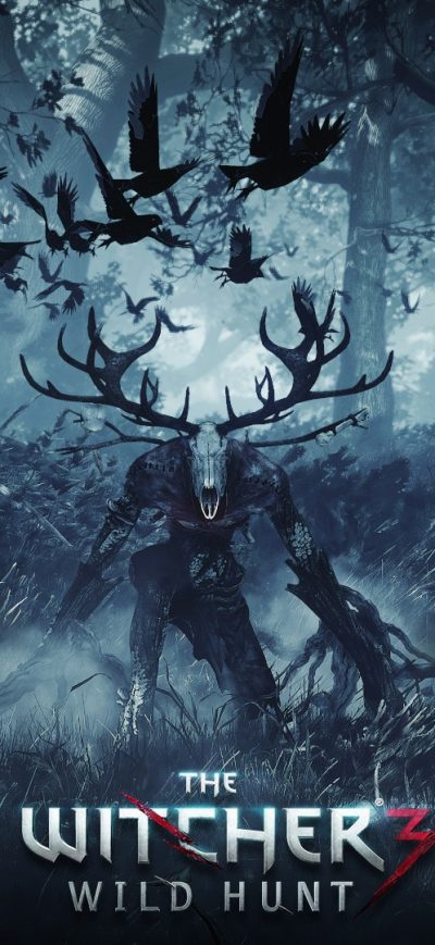 Fond d'écran iPhone The Witcher 3 Wild Hunt Video Game