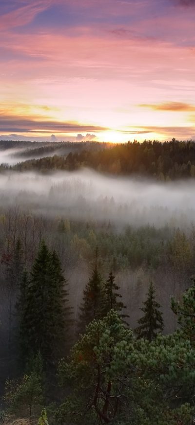 Fond d'écran iPhone Foggy Sunrise National Park