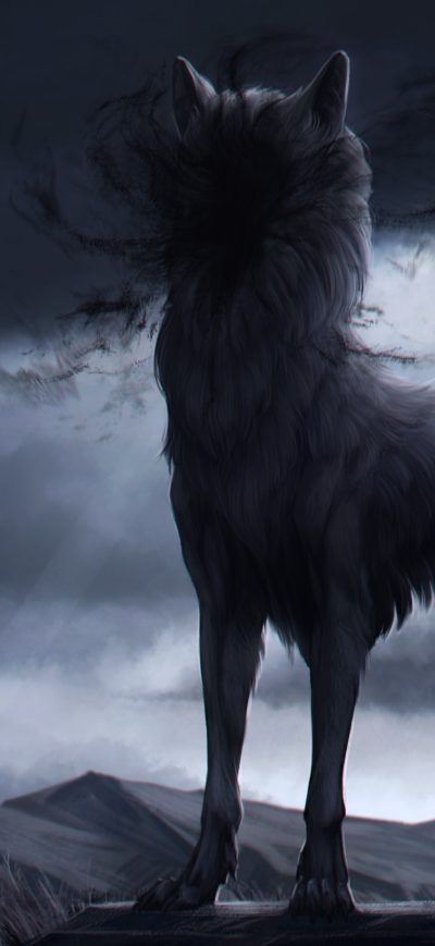 Fond d'écran iPhone Wolf In Shadow 4k