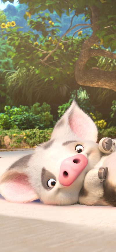 Fond d'écran iPhone Pua Moana 4k