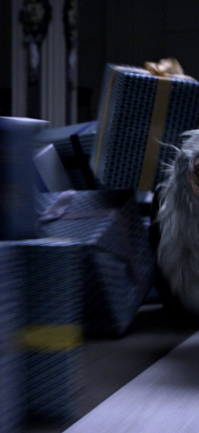 Fond d'écran iPhone Demiguise Fantastic Beasts And Where To Bind Them