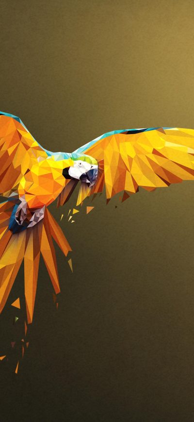 Fond d'écran iPhone Macaw Low Poly Digital Art 4k