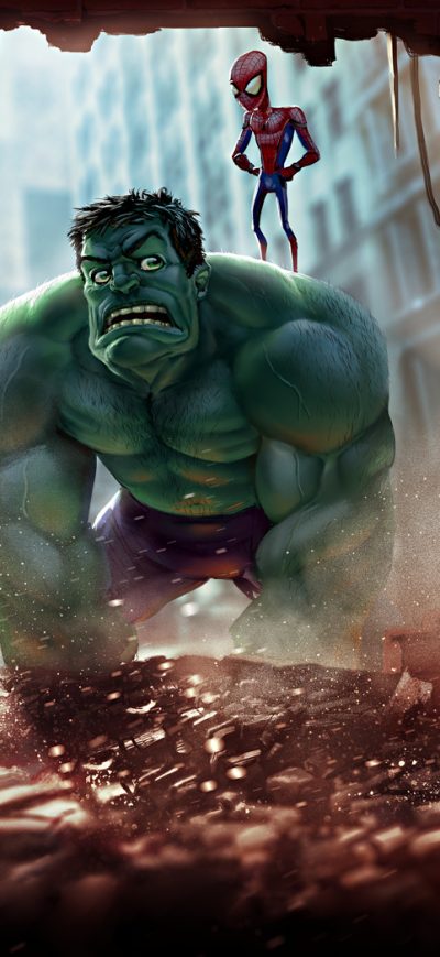 Fond d'écran iPhone Hulk And Spider Man