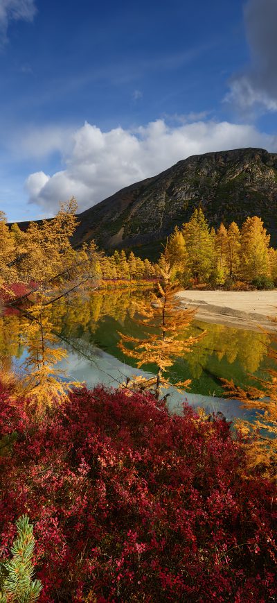 Fond d'écran iPhone Autumn Mood Jack London Lake 4k