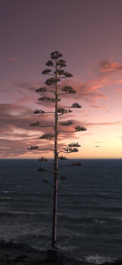 Fond d'écran iPhone Tree Ocean Seascape Sky 5k