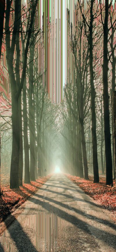 Fond d'écran iPhone Artistic Glitch Trees Road