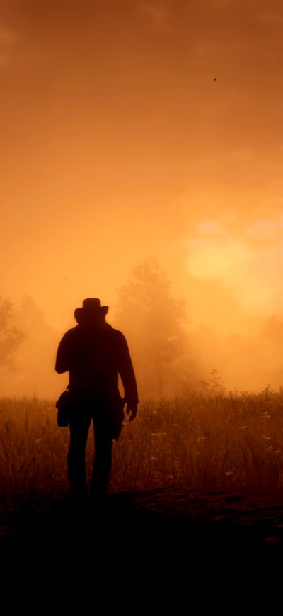 Fond d'écran iPhone Red Dead Redemption 2 Game