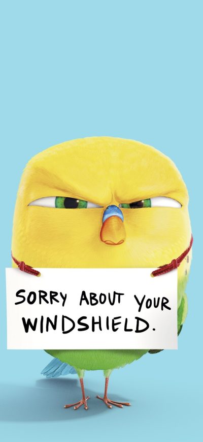 Fond d'écran iPhone Bird In The Secret Life Of Pets