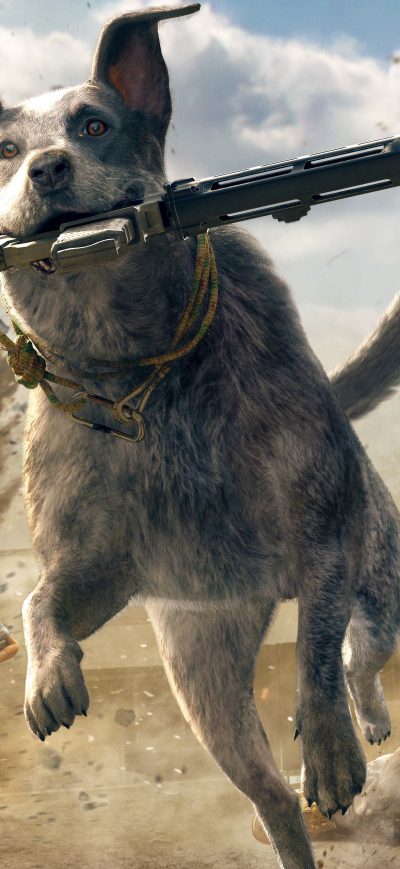 Fond d'écran iPhone Far Cry 5 Australian Cattle Dog 5k