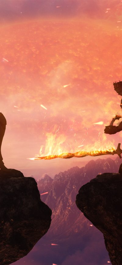Fond d'écran iPhone Dark Souls And Overwatch Crossover