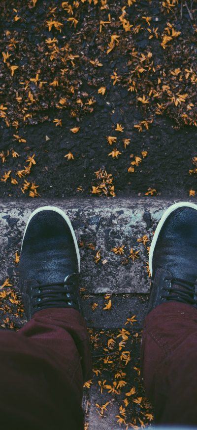 Fond d'écran iPhone Sneakers Autumn Leaves Fallen 5k
