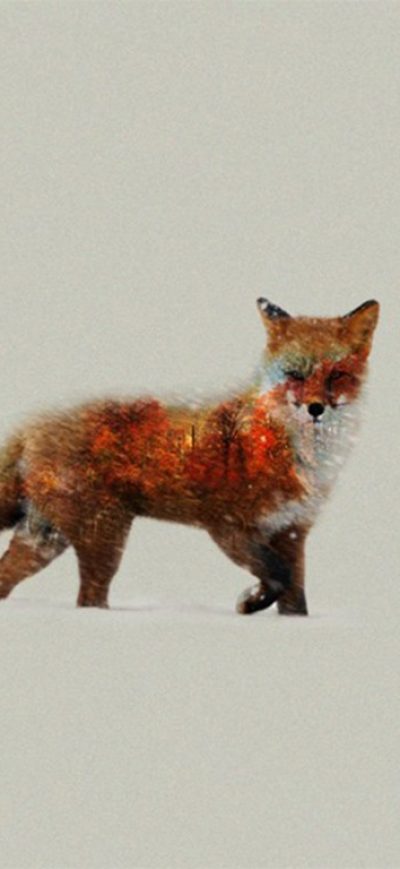 Fond d'écran iPhone Fox Artist