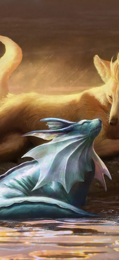 Fond d'écran iPhone Vaporeon And Ninetales