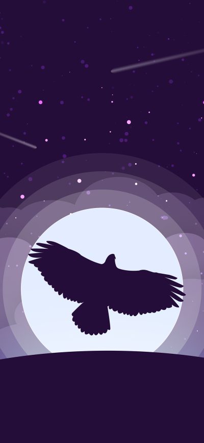 Fond d'écran iPhone Eagle Minimalist