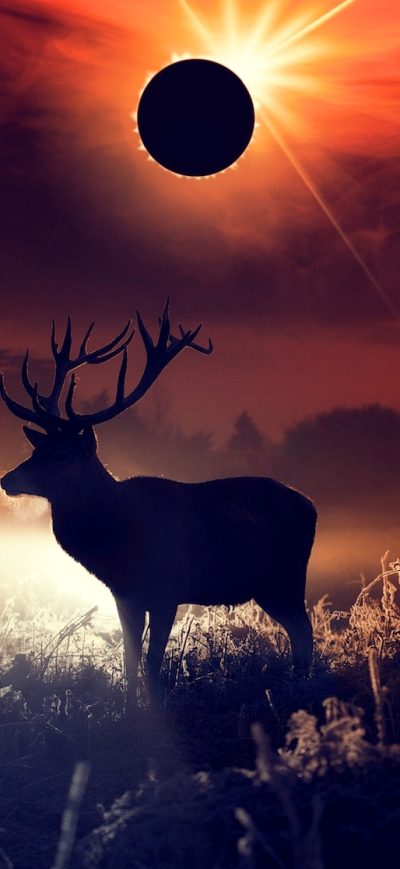 Fond d'écran iPhone Deer Fantasy Art