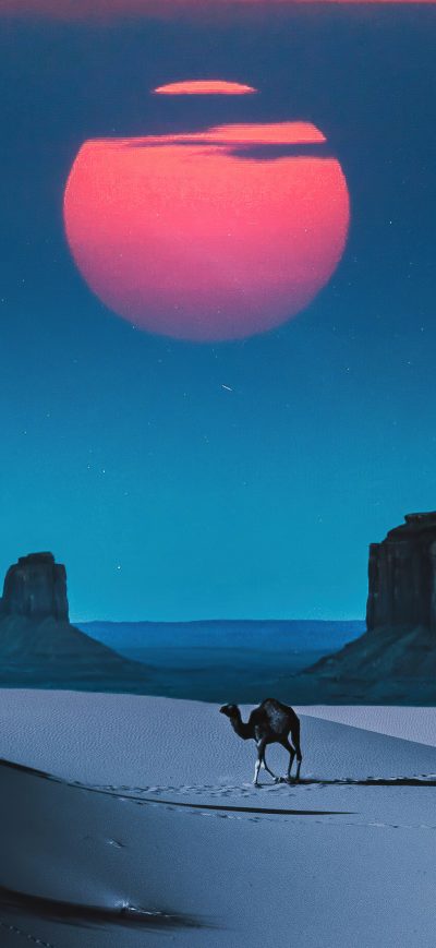 Fond d'écran iPhone Camel Desert Outrun