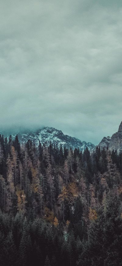 Fond d'écran iPhone Trees And Mountains 4k
