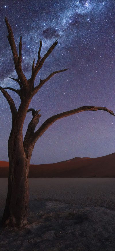 Fond d'écran iPhone Tree Desert Milky Way 4k
