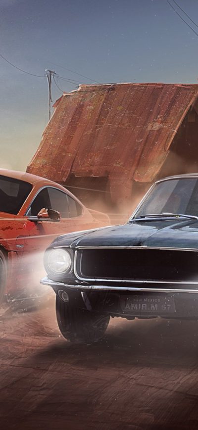Fond d'écran iPhone New And Old Mustang Evil Ways