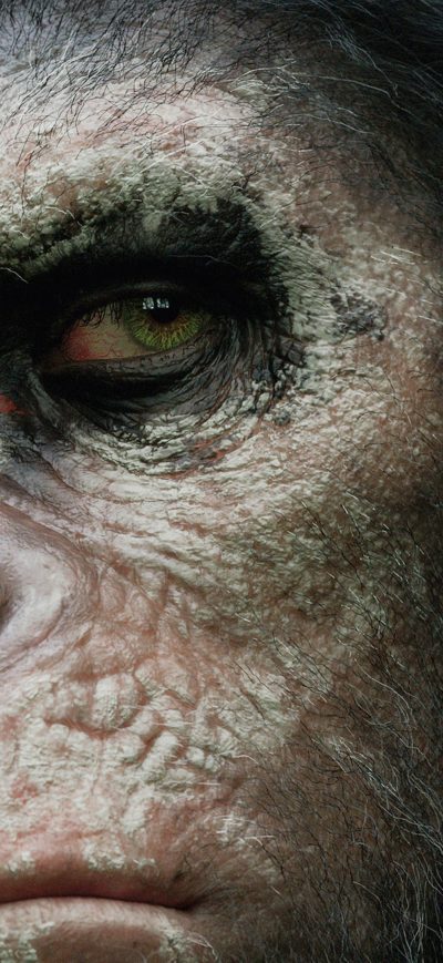Fond d'écran iPhone Dawn of the Planet of the Apes HD