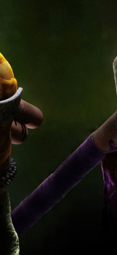 Fond d'écran iPhone Donatello Michelangelo Tmnt