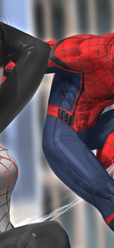 Fond d'écran iPhone Spiderman And Silk