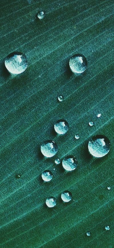 Fond d'écran iPhone Water Drop On Green Textile Macro