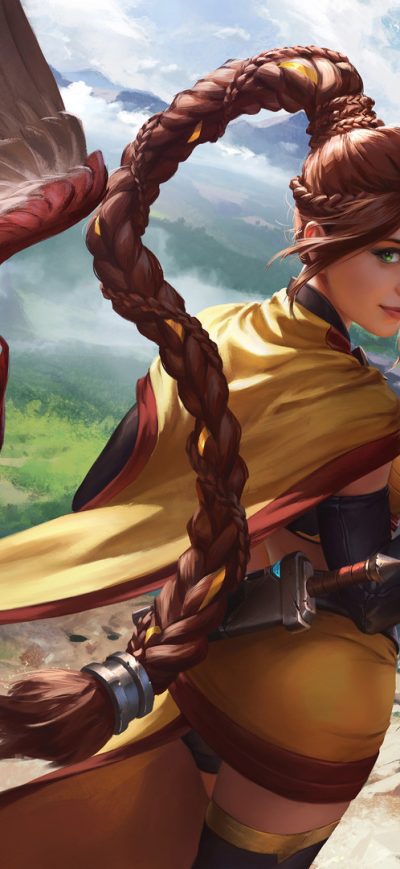 Fond d'écran iPhone Paladins Strike